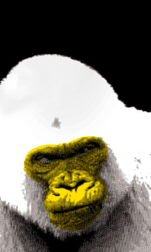 Flyer de Todos los grandes tienen problemas de piel de Txalo Toloza