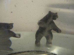 1077541_10201695039367955_926475450_o