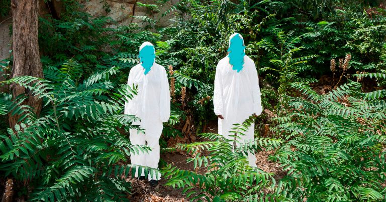 display_pollocampero