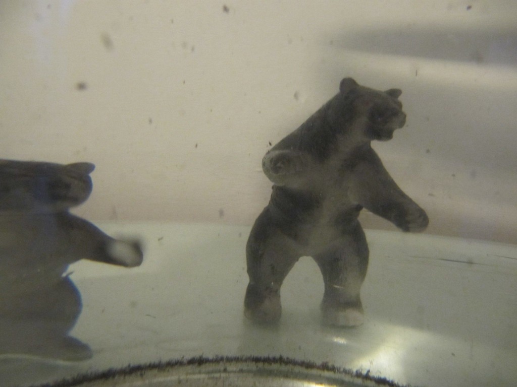 foto osos en el agua