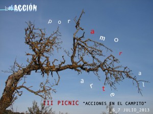 IIIPicNicBokACCION