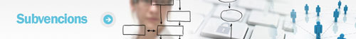 subvencions