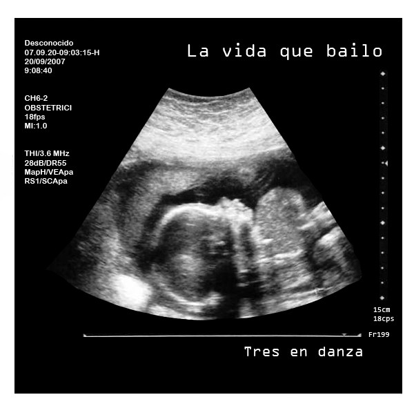 LA VIDA QUE BALLO LA VIDA QUE BALLO
