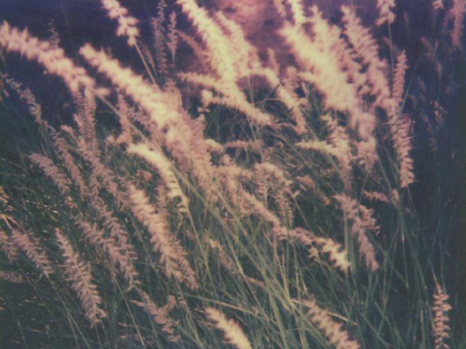 WHAT IF EVERYTHING WE KNOW IS WRONG?', ROSA CASADO Y MIKE BROOKES