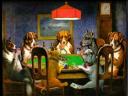 400_1182112651_dog-poker.jpg