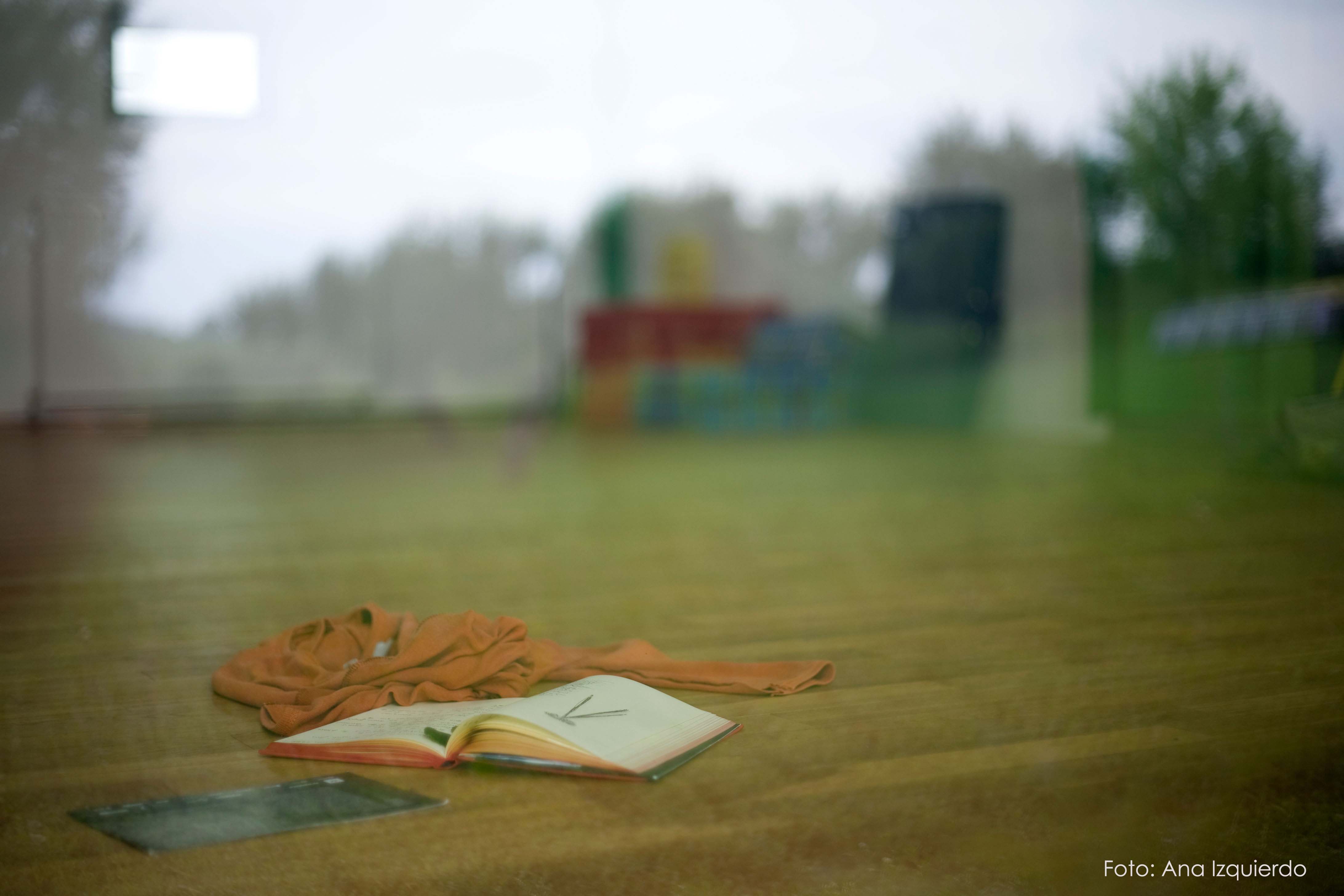 Imatge tragantprocessos 2016