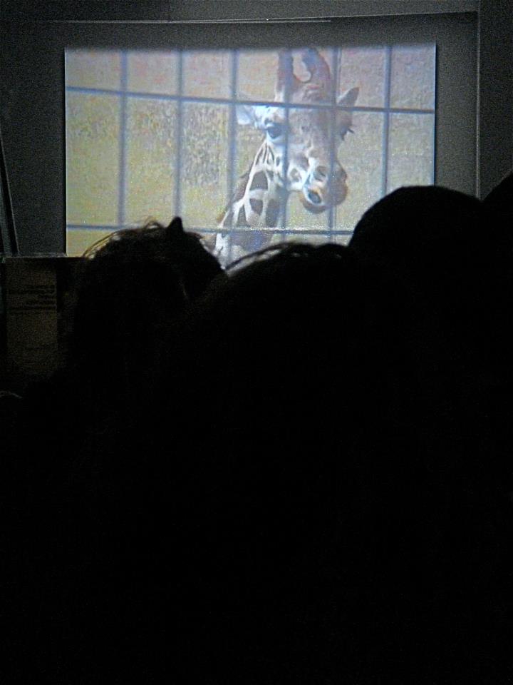 392194_2640557664034_1558332680_2697040_1197217240_n