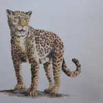 29/11 [INFLUX vídeo a escena] Sakhelu de nyamnyam (Iñaki Alvarez i Ariadna Rodríguez)