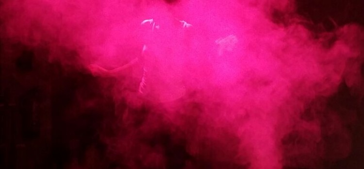 El agitador Vórtex en Vigo El agitador Vórtex en Vigo